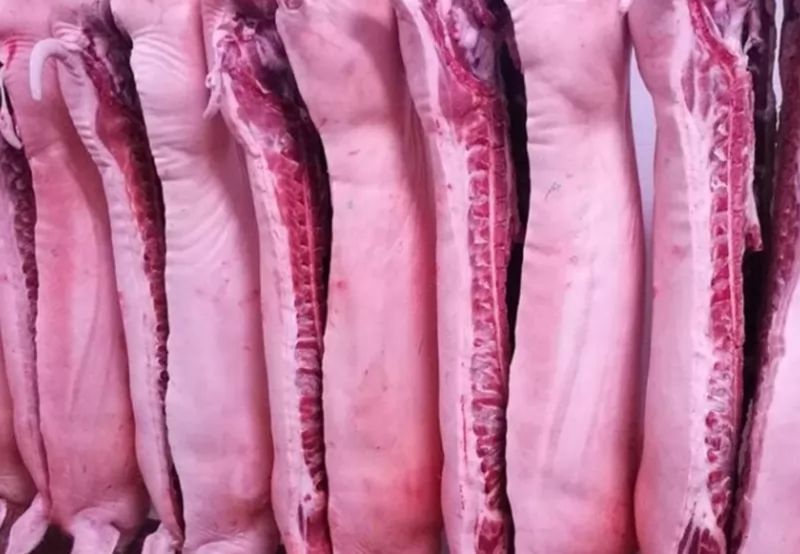 Germany slaughters 7% fewer pigs in 2023