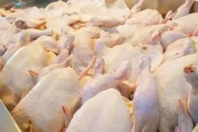 Capturing investment opportunities in Asia's poultry supply chain