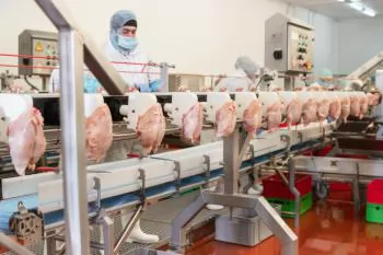 US poultry sector prepares for mass deportations