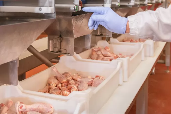 Poland's poultry industry has had a record year