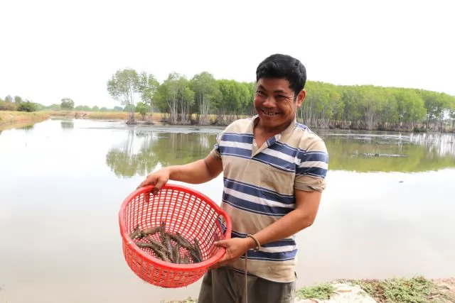 Trà Vinh farmers earn high profit from forest-aquaculture farming