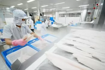 Vietnam enters the top 4 seafood export partners in Singapore