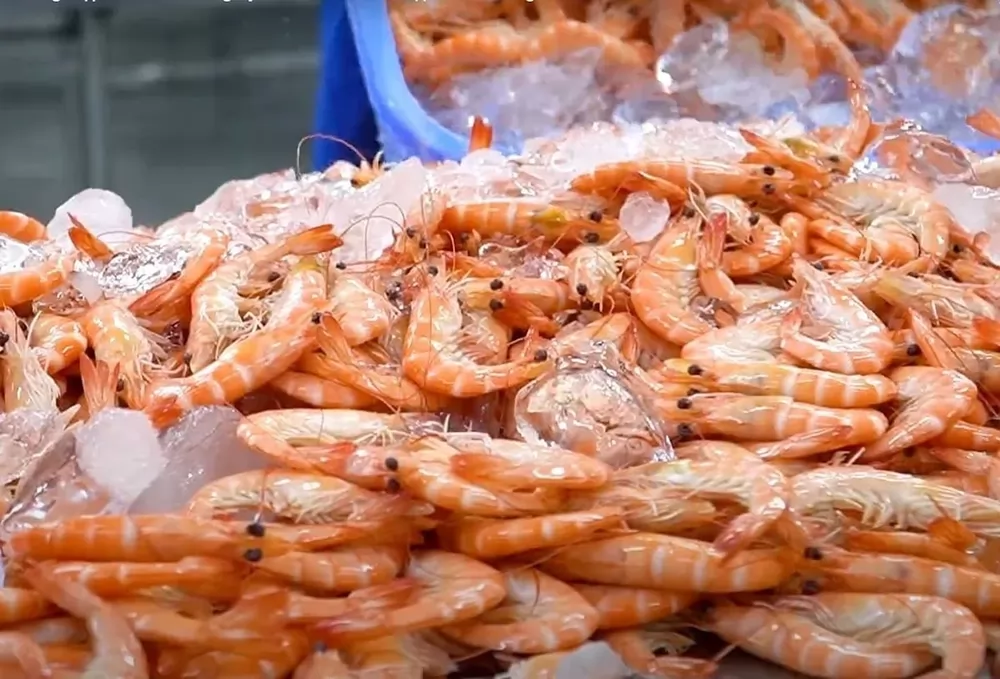 Vietnam taps into growing Australian demand for shrimp