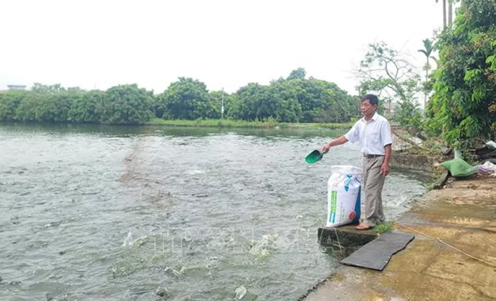 Hanoi to turn fisheries into important sector