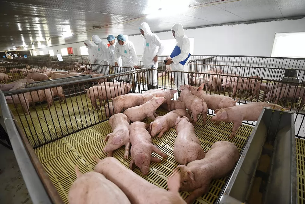 Vietnam to strengthen biosecurity in the face of new risks
