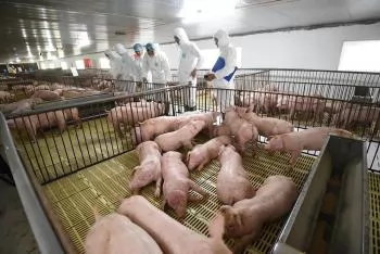 Vietnam to strengthen biosecurity in the face of new risks