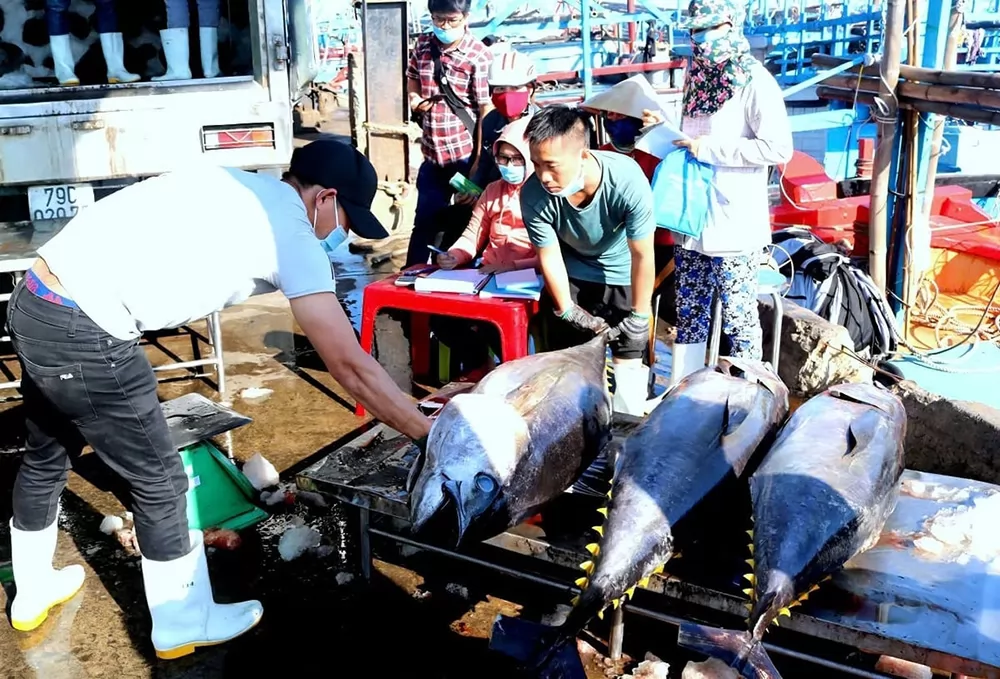 Local enterprises urge to amend decree on tuna fisheries