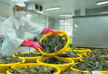AFF exports target over USD 25 billion in the last five months