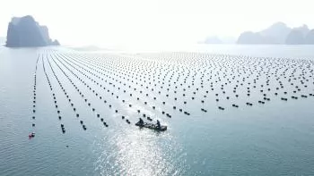 Vietnam's seafood industry achieves sustainable growth: Today's position, tomorrow's aspiration