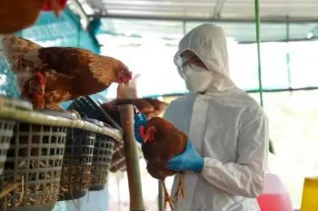 Avian influenza outbreak confirmed in commercial layer farm in Argentina