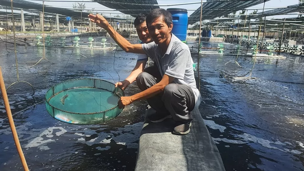Da Nang positions fisheries as a key economic sector