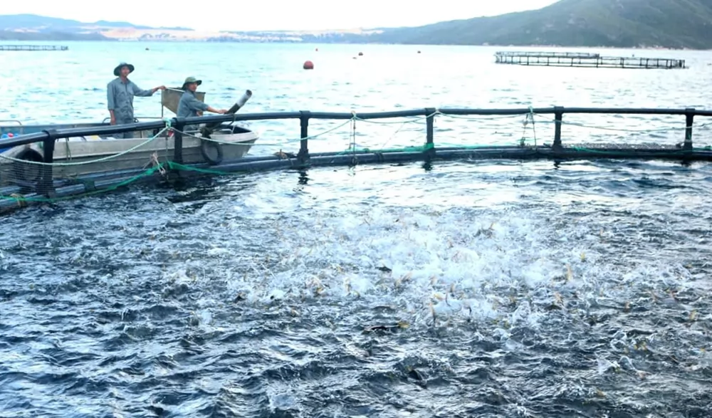 High-tech mariculture: unlocking potential, overcoming challenges High-tech mariculture: unlocking potential, overcoming challenges