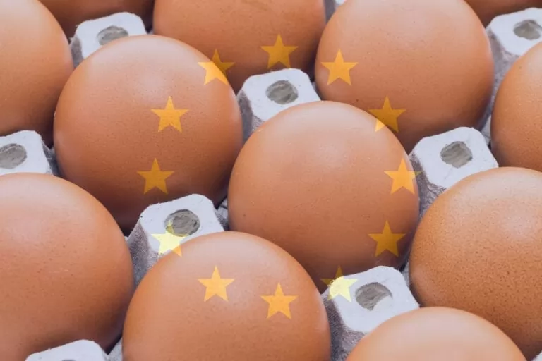 EU-Mercosur deal threatens European egg industry