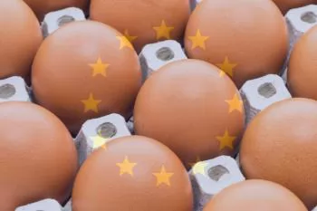 EU-Mercosur deal threatens European egg industry