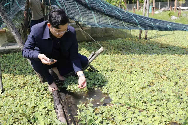 Farmer revives abandoned ponds to build thriving snail farm Farmer revives abandoned ponds to build thriving snail farm