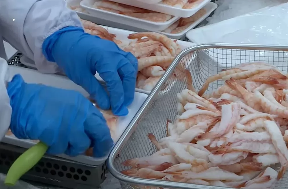 China becomes the first \'billion-dollar market\' for Vietnamese shrimp