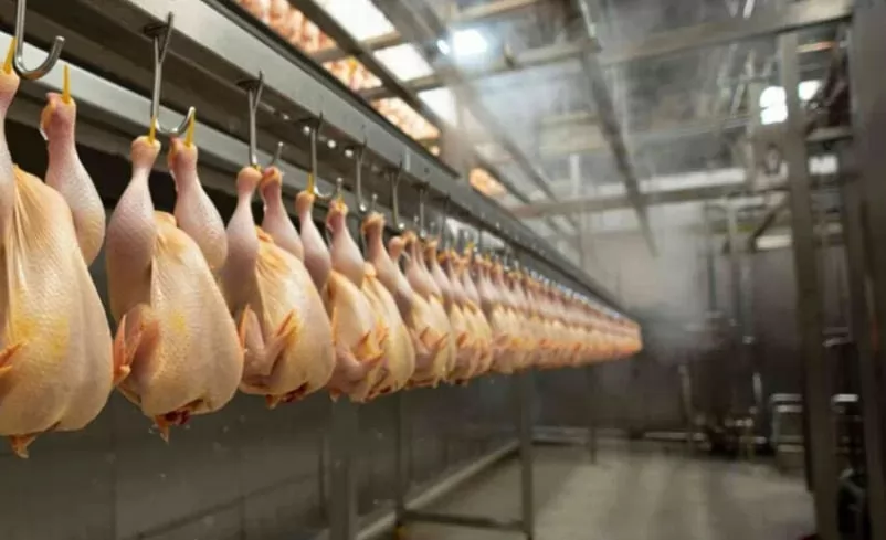 AVEC urges the European Parliament to reject Mercosur deal