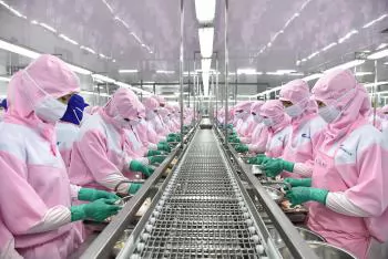 Seafood exports: The challenge of sustaining growth after hitting the $11 billion mark