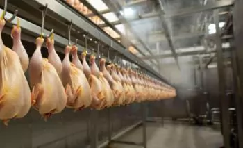 AVEC urges the European Parliament to reject Mercosur deal