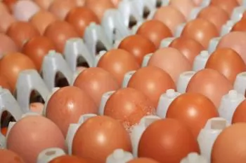 Moldova seizes thousands of eggs and broilers over imported feed contamination