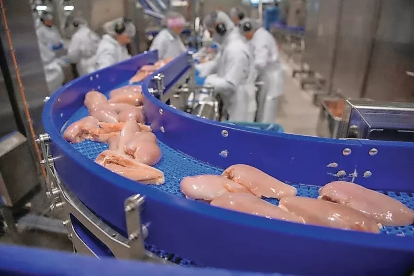 War shakes up poultry supply chains across the Middle East War shakes up poultry supply chains across the Middle East