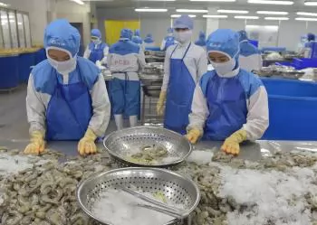 MOIT proposes that EAEU open its market to Vietnamese seafood