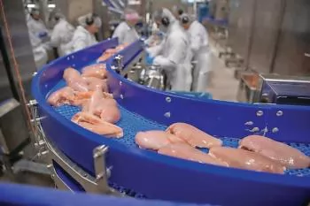 War shakes up poultry supply chains across the Middle East