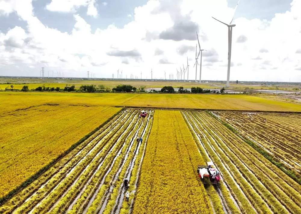 Ca Mau upgrades agri and aquaculture logistics Ca Mau upgrades agri and aquaculture logistics