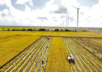 Ca Mau upgrades agri and aquaculture logistics