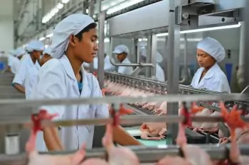 When American chickens knock on Indonesia's poultry industry