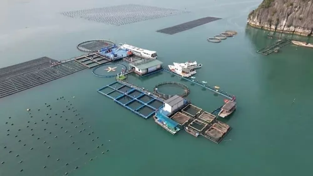 Data science improves efficiency in sea area allocation