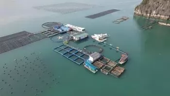 Data science improves efficiency in sea area allocation